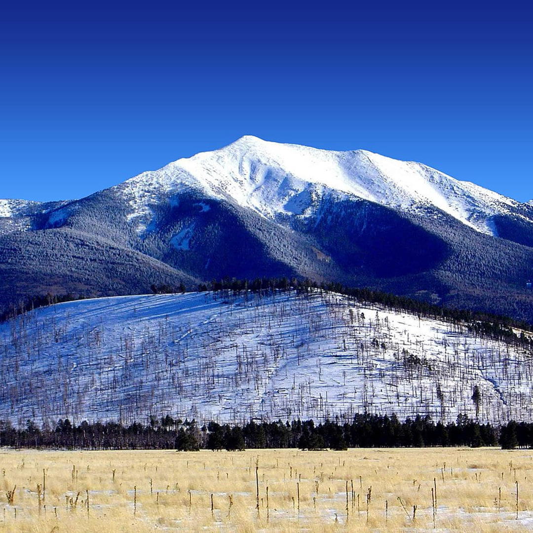 Coconino National Forest