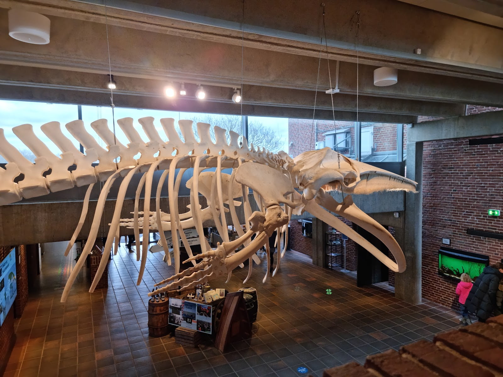 Fiskeri- og Søfartsmuseet