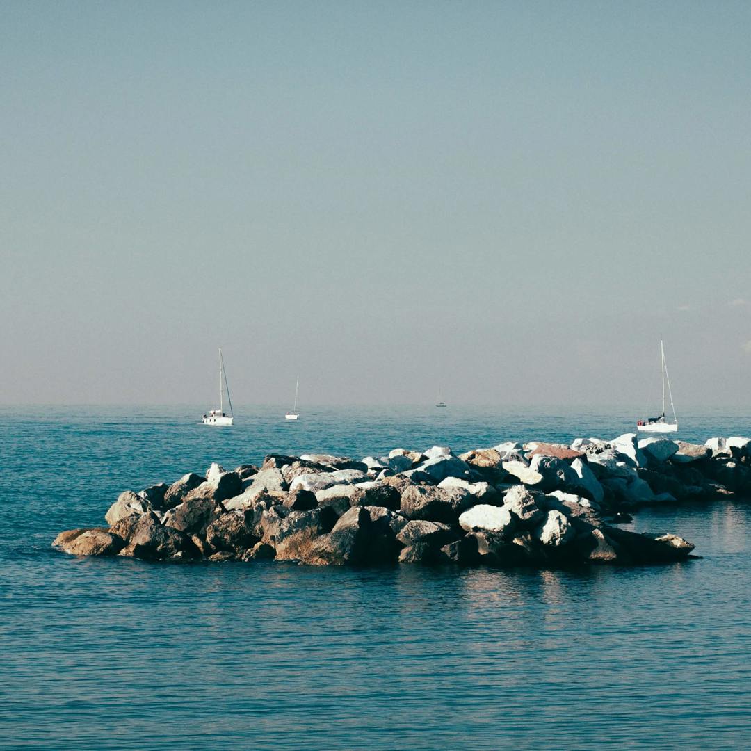 moby dick marina di pisa
